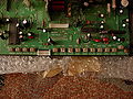 Thumbnail for version as of 16:17, 26 March 2011