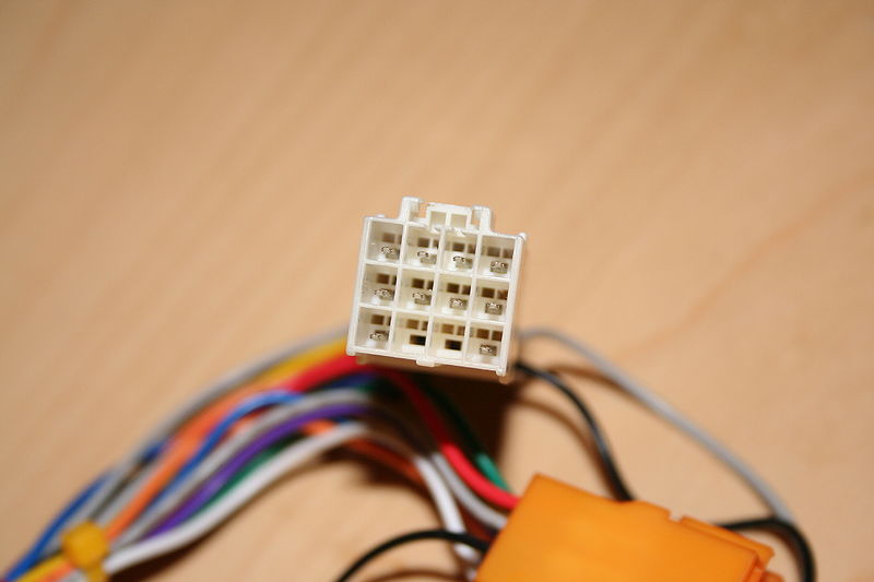 File:Amp-up-female2.jpg